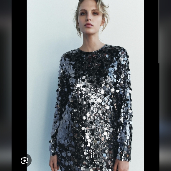 Zara Dresses & Skirts - Zara Shimmering Silver Sequin Long Sleeve Mini Dress
